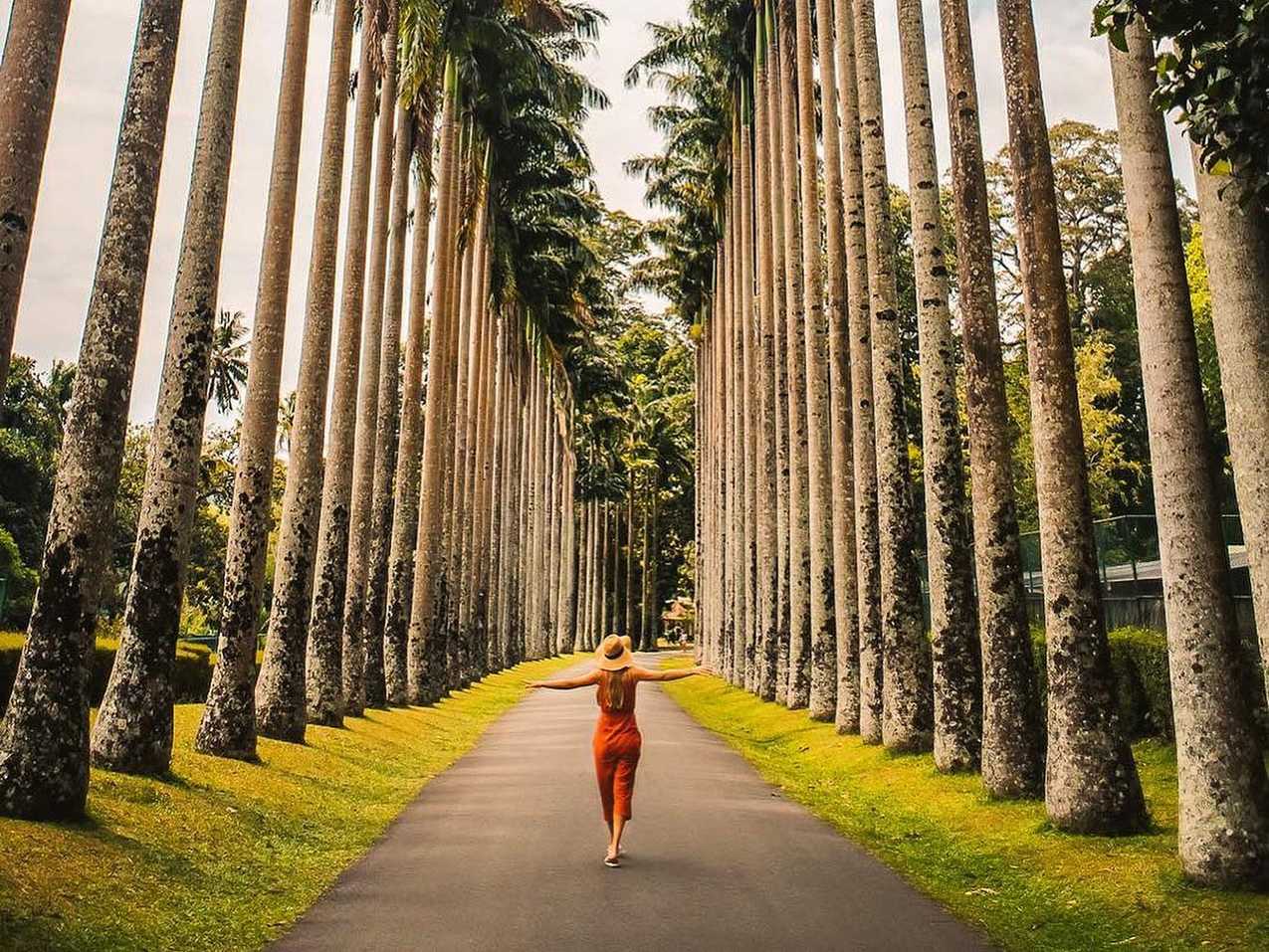 Peradeniya Botanical Garden