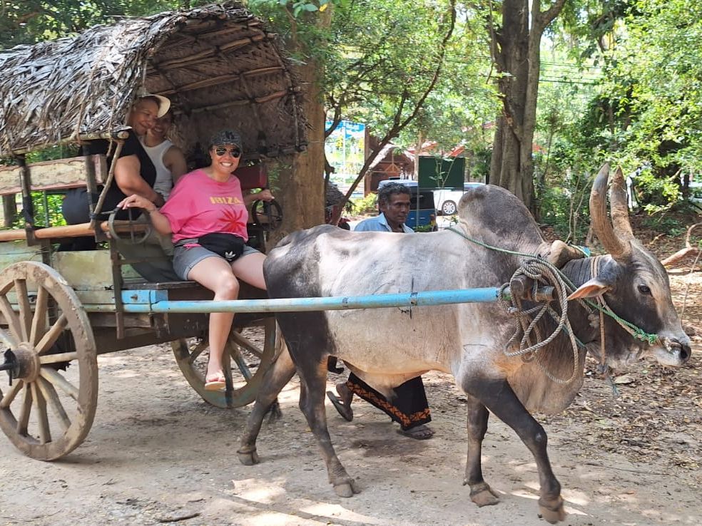 Guests enjoying a traditional bullock cart ride through a village.
