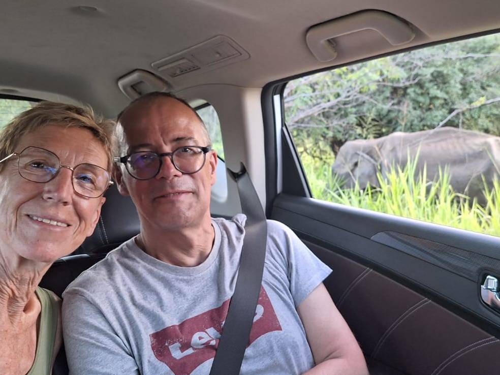 Viewing a wild elephant from the safety of a car.