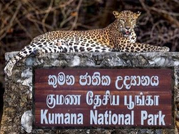 Kumana National Park